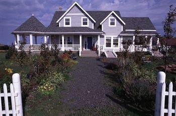 Sundance * Cavendish